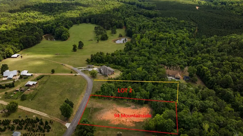 Lot 2 Mountainside Drive Manchester, GA 31816