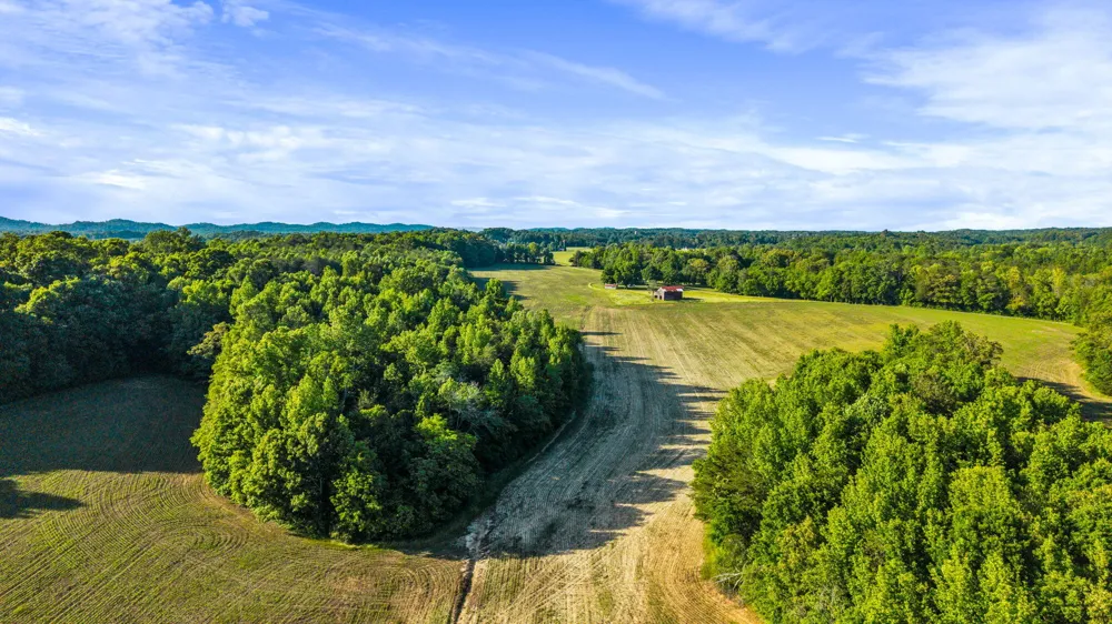 444 County Road 782 Etowah, TN 37331
