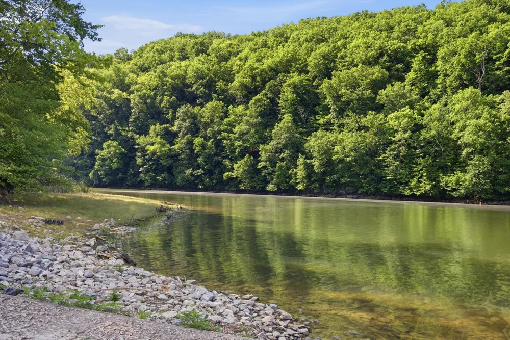 15593 Iles Road Sale Creek, TN 37373
