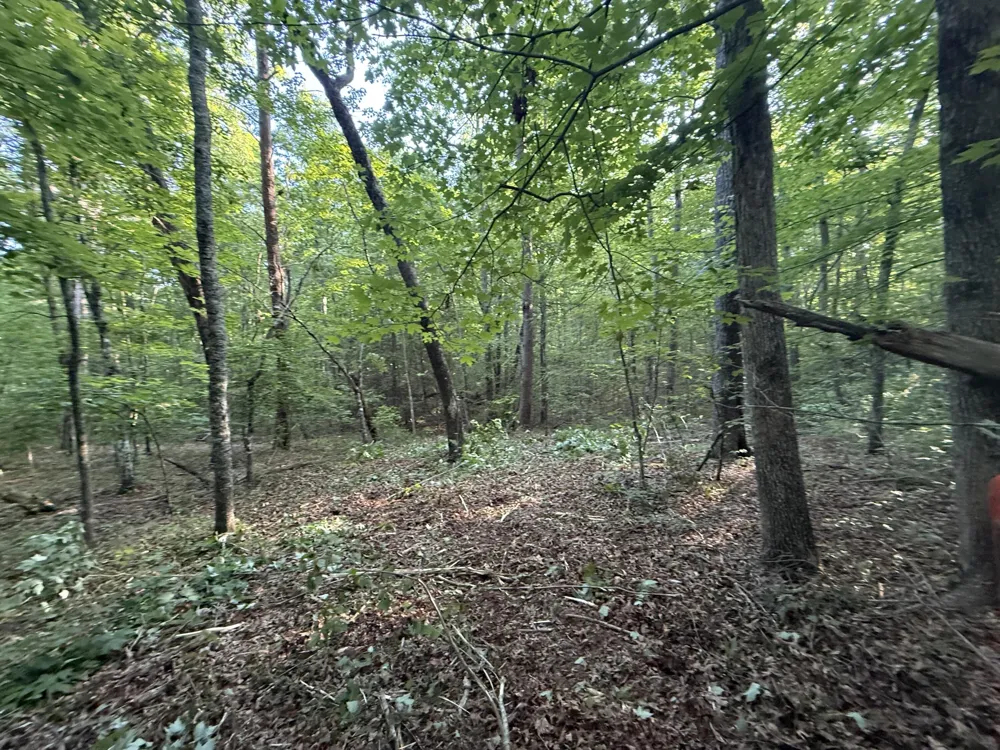 1672 Besstown Road Beersheba Springs, TN 37305