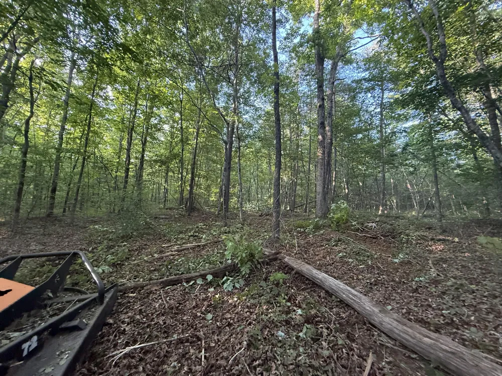 1672 Besstown Road Beersheba Springs, TN 37305