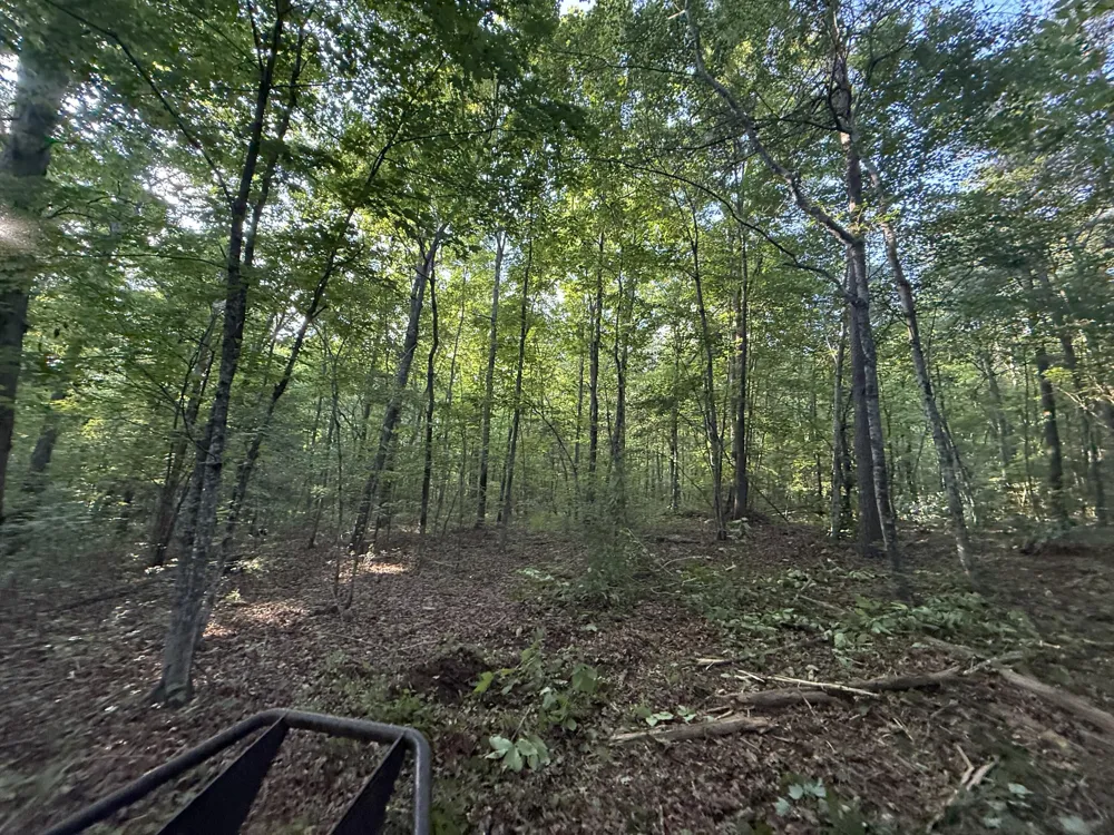 1672 Besstown Road Beersheba Springs, TN 37305
