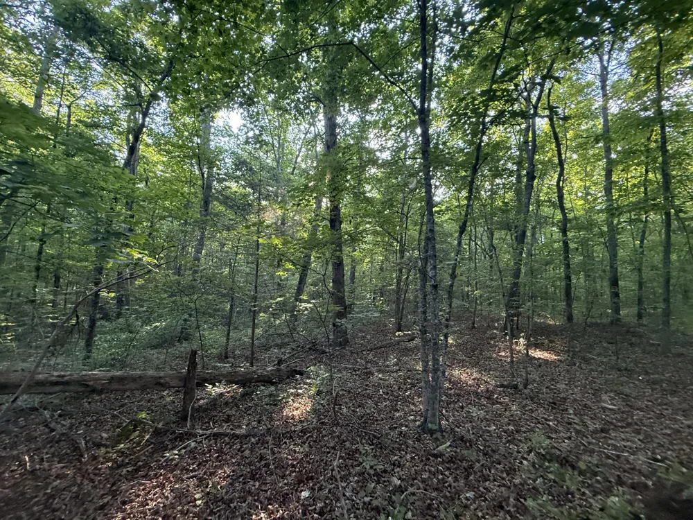 1672 Besstown Road Beersheba Springs, TN 37305