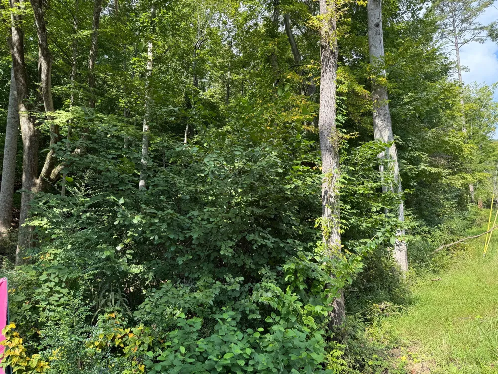 64 Riddle Street Dayton, TN 37321