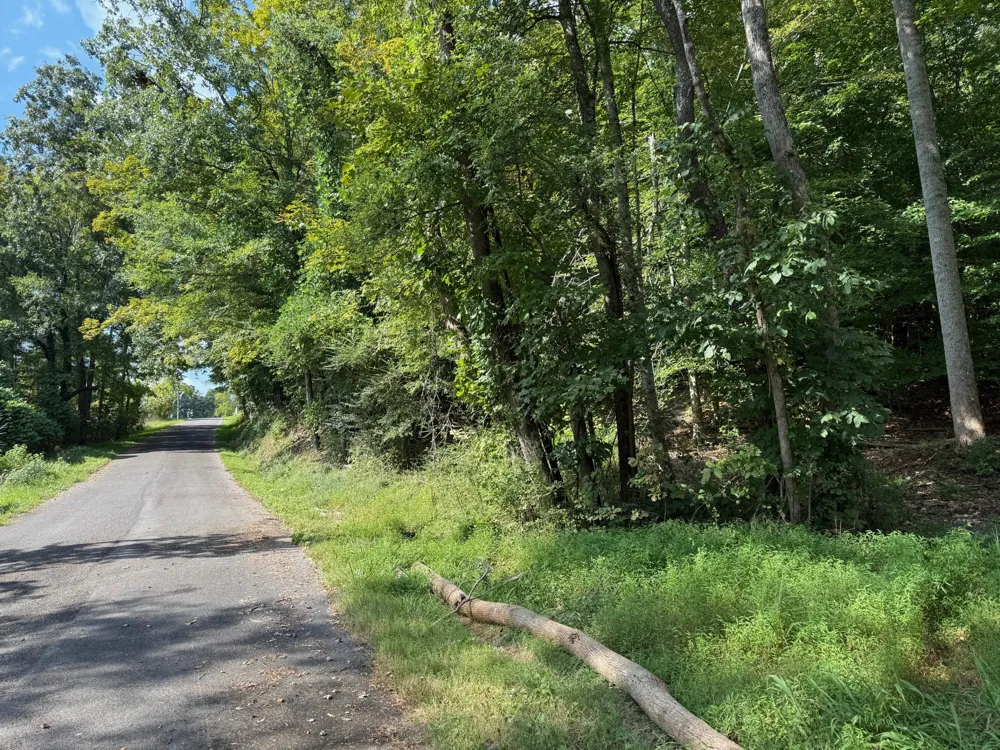 64 Riddle Street Dayton, TN 37321