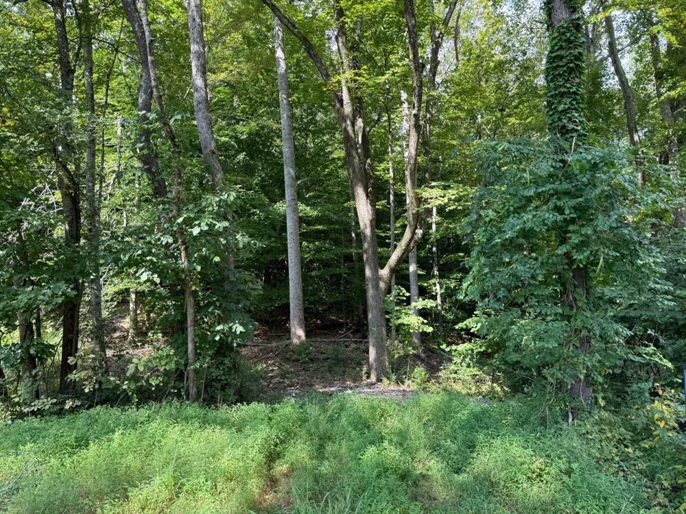 64 Riddle Street Dayton, TN 37321