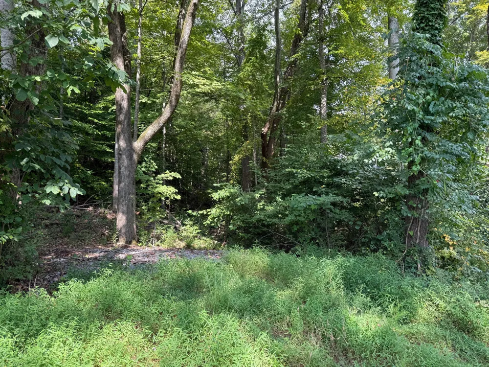 64 Riddle Street Dayton, TN 37321