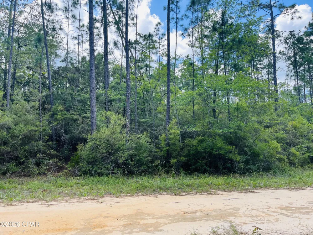Chaco Circle Alford, FL 32420