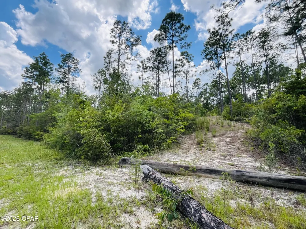Chaco Circle Alford, FL 32420