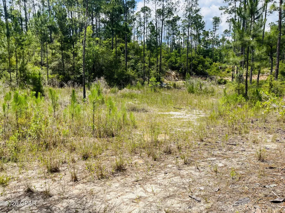 Chaco Circle Alford, FL 32420