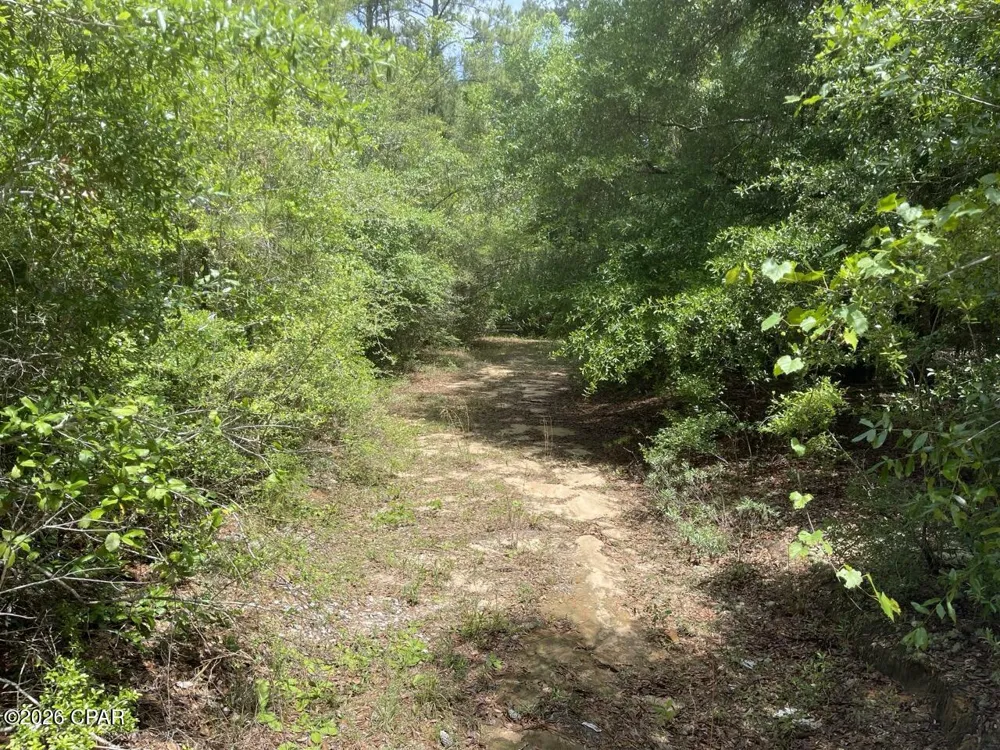 Avon Street Chipley, FL 32428