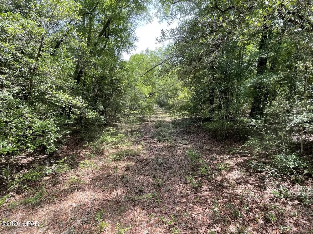 Avon Street Chipley, FL 32428