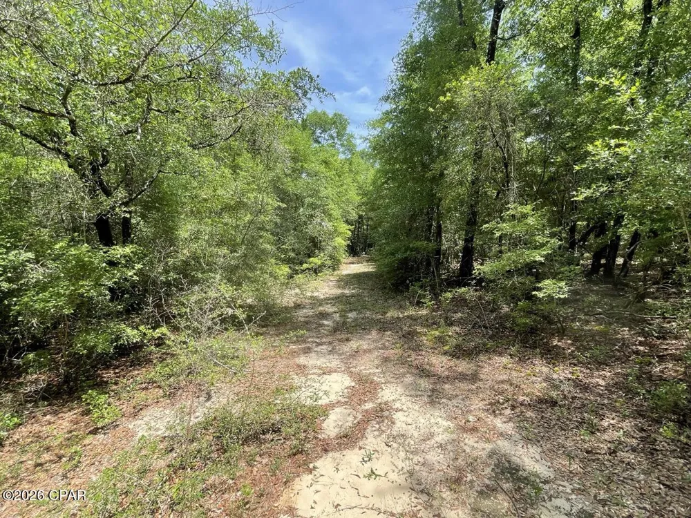 Avon Street Chipley, FL 32428