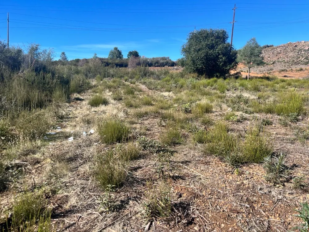 16243 8th Avenue Clearlake, CA 95422