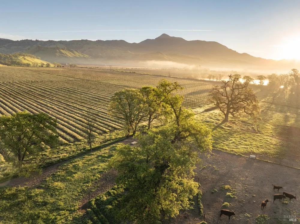 13800 Highway 128 Calistoga, CA 94515