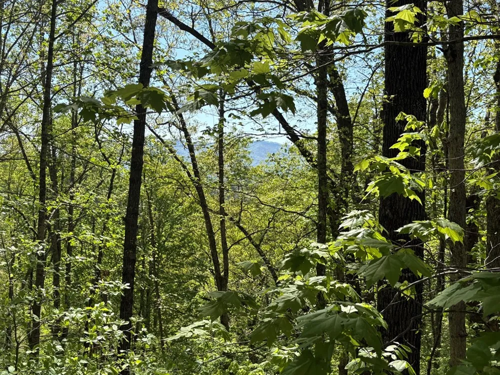 Sherrill Rd Bryson City, NC 28713