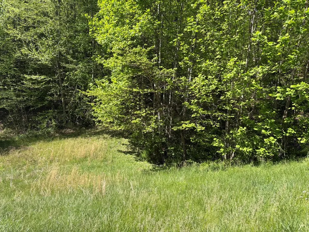 Sherrill Rd Bryson City, NC 28713