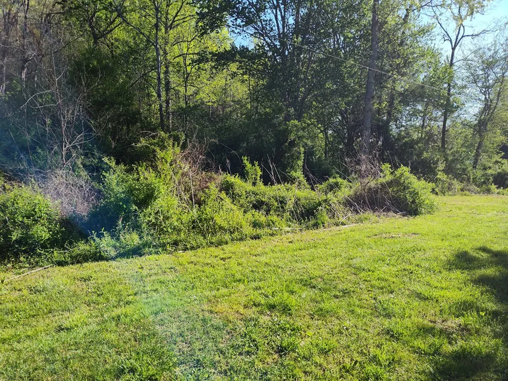 Smith Hill Rd Franklin, NC 28734