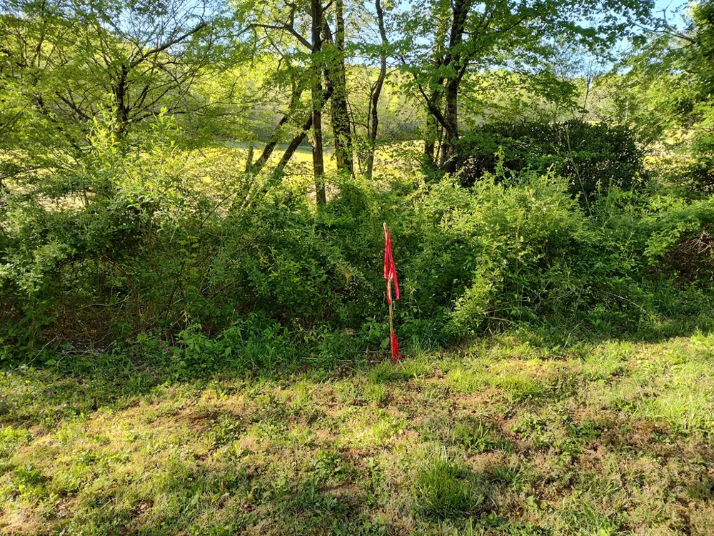 Smith Hill Rd Franklin, NC 28734