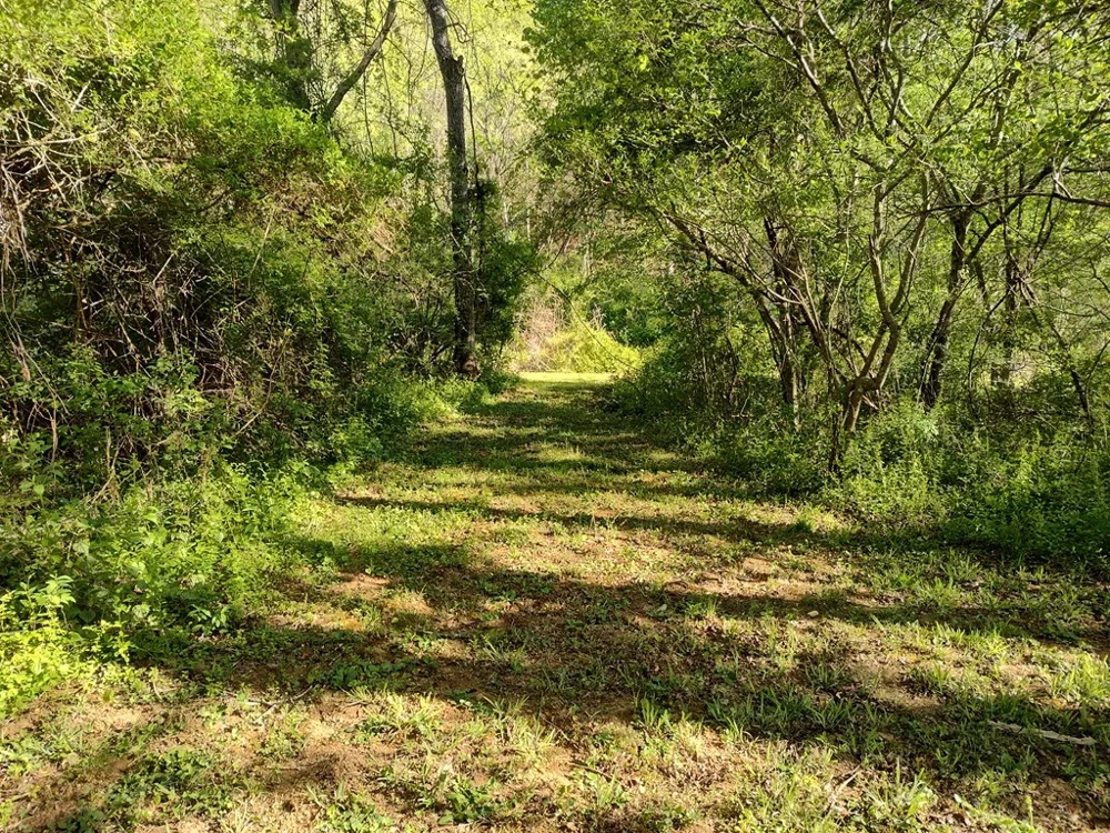 Smith Hill Rd Franklin, NC 28734