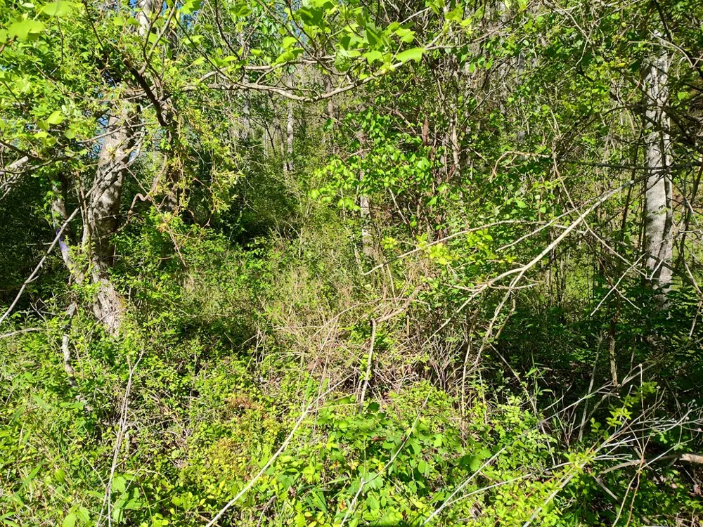 Smith Hill Rd Franklin, NC 28734