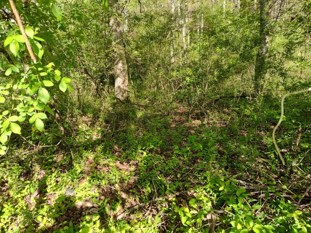 Smith Hill Rd Franklin, NC 28734