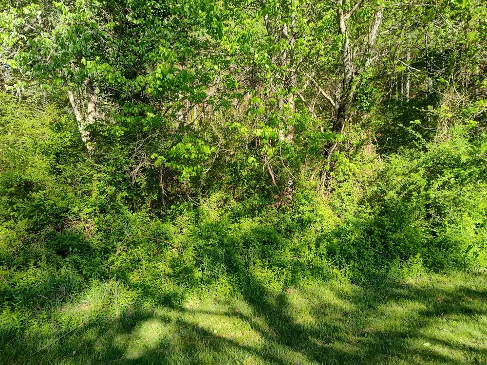 Smith Hill Rd Franklin, NC 28734