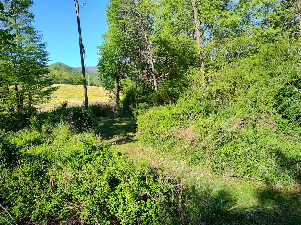 Smith Hill Rd Franklin, NC 28734