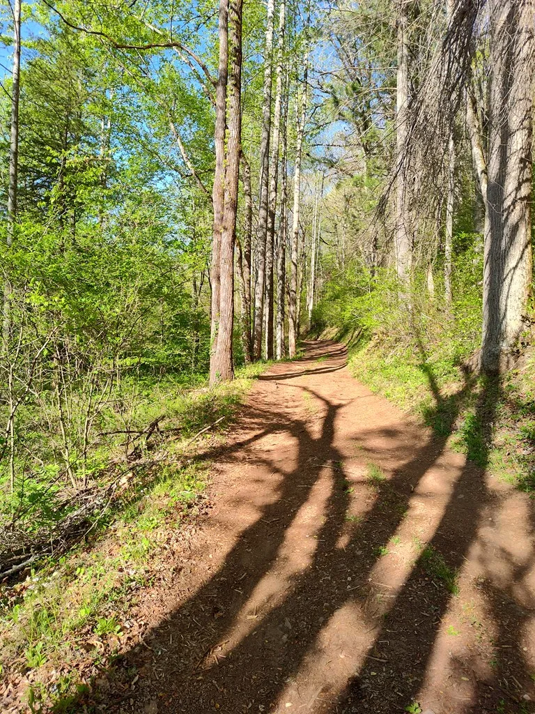 Smith Hill Rd Franklin, NC 28734