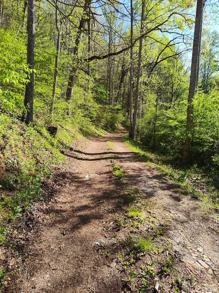 Smith Hill Rd Franklin, NC 28734