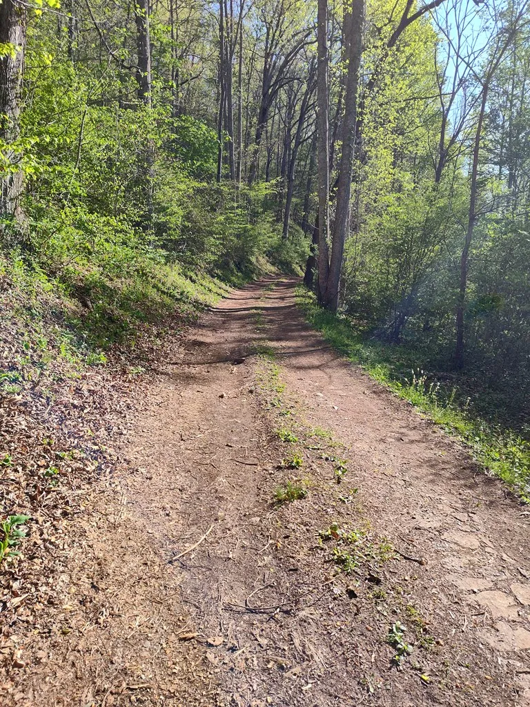 Smith Hill Rd Franklin, NC 28734