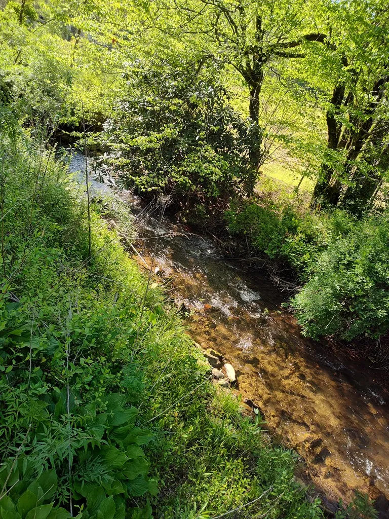 Smith Hill Rd Franklin, NC 28734