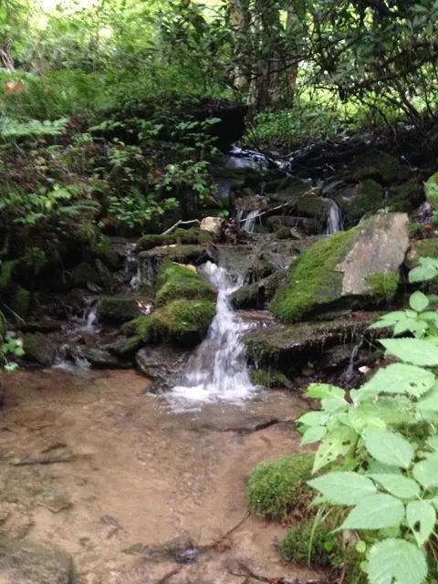 Huckleberry Walk