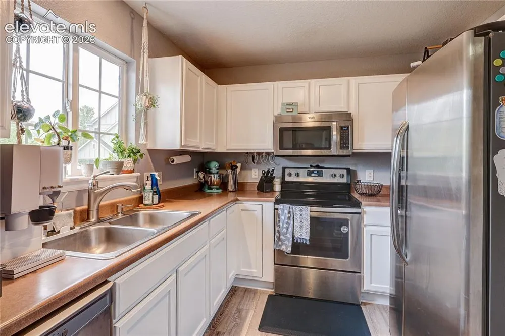 1458 Nemrick Place Castle Rock, CO 80109