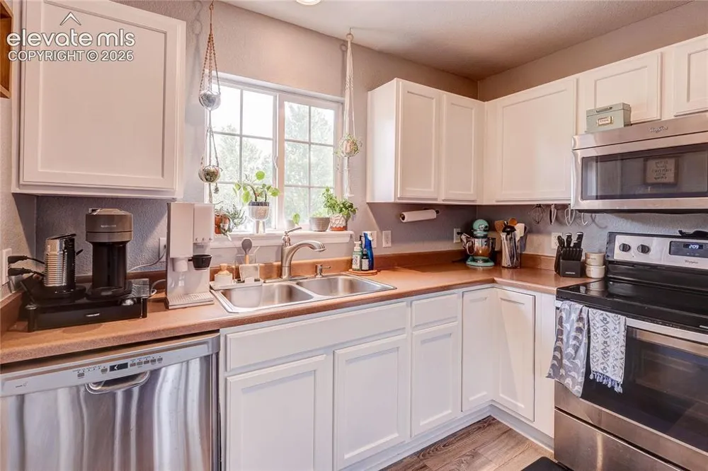 1458 Nemrick Place Castle Rock, CO 80109