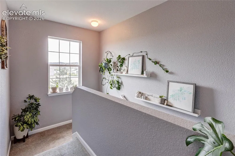 1458 Nemrick Place Castle Rock, CO 80109