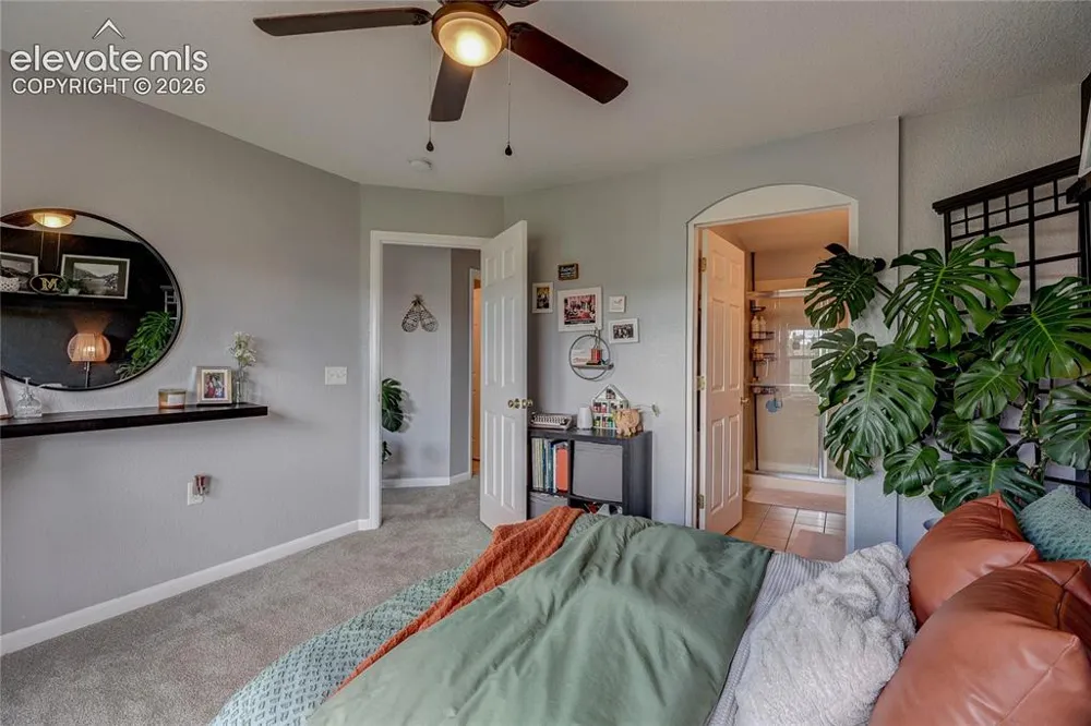 1458 Nemrick Place Castle Rock, CO 80109