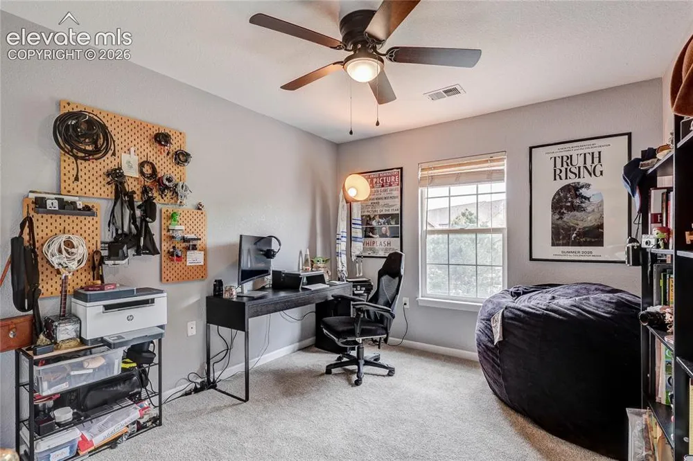 1458 Nemrick Place Castle Rock, CO 80109