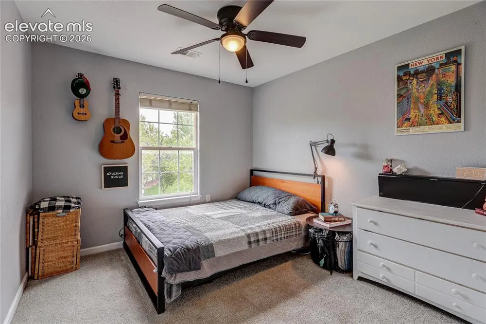 1458 Nemrick Place Castle Rock, CO 80109