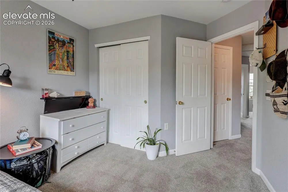 1458 Nemrick Place Castle Rock, CO 80109