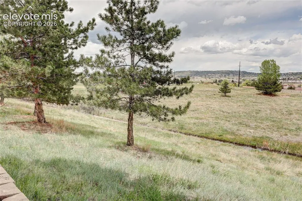 1458 Nemrick Place Castle Rock, CO 80109
