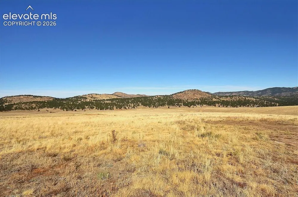 1115 Eagles Gate Road Westcliffe, CO 81252