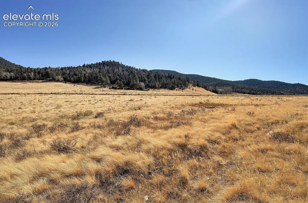1115 Eagles Gate Road Westcliffe, CO 81252