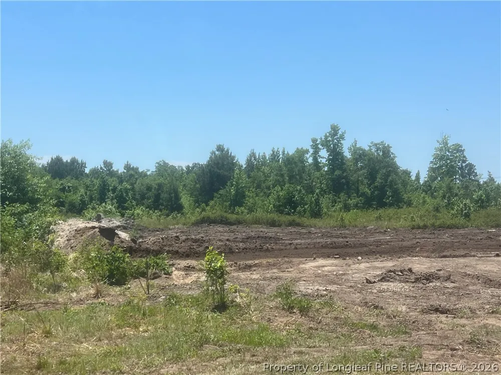 Harleyville Road Rowland, NC 28383