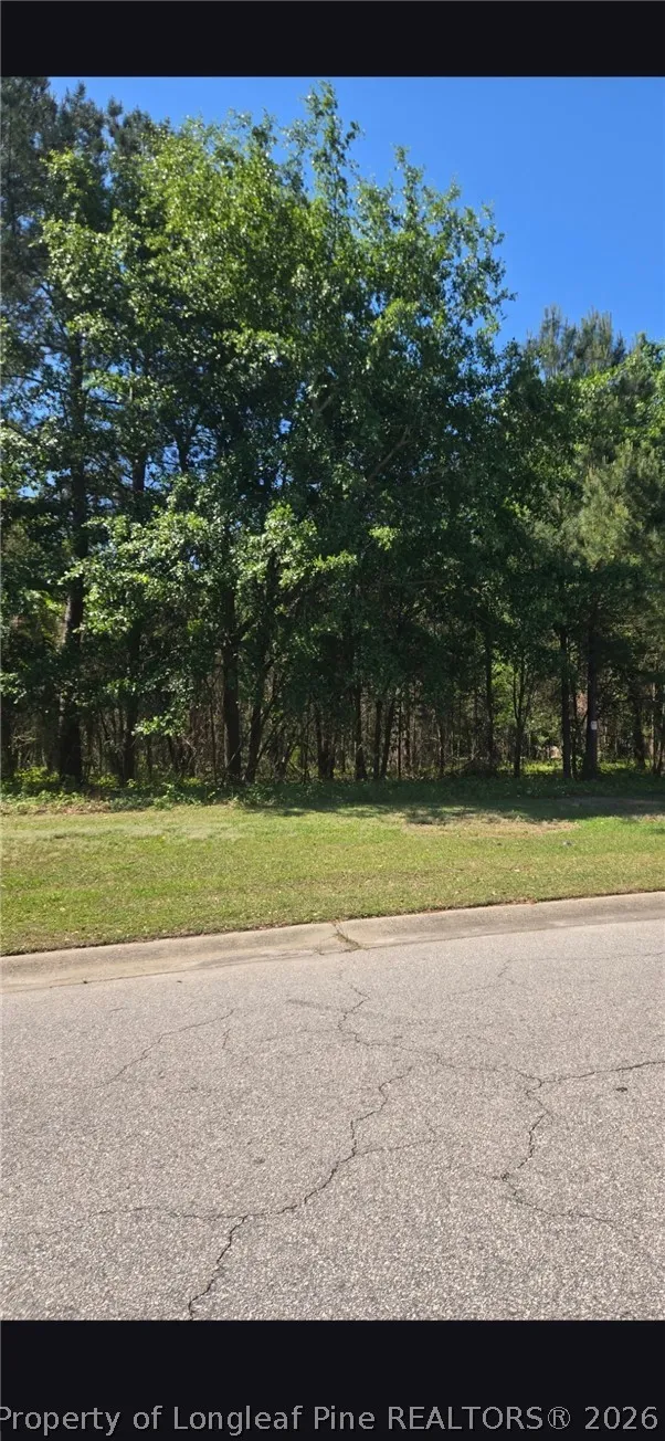 4028 S Main St & Edwin Deaver Street Hope Mills, NC 28348