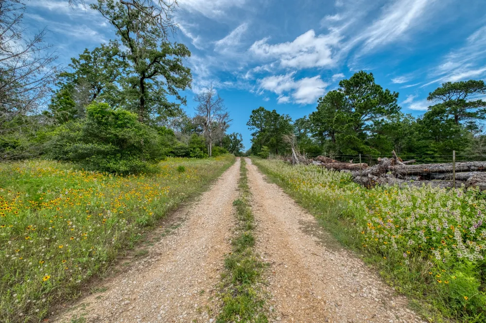 Pathfinders Way Smithville, TX 78957