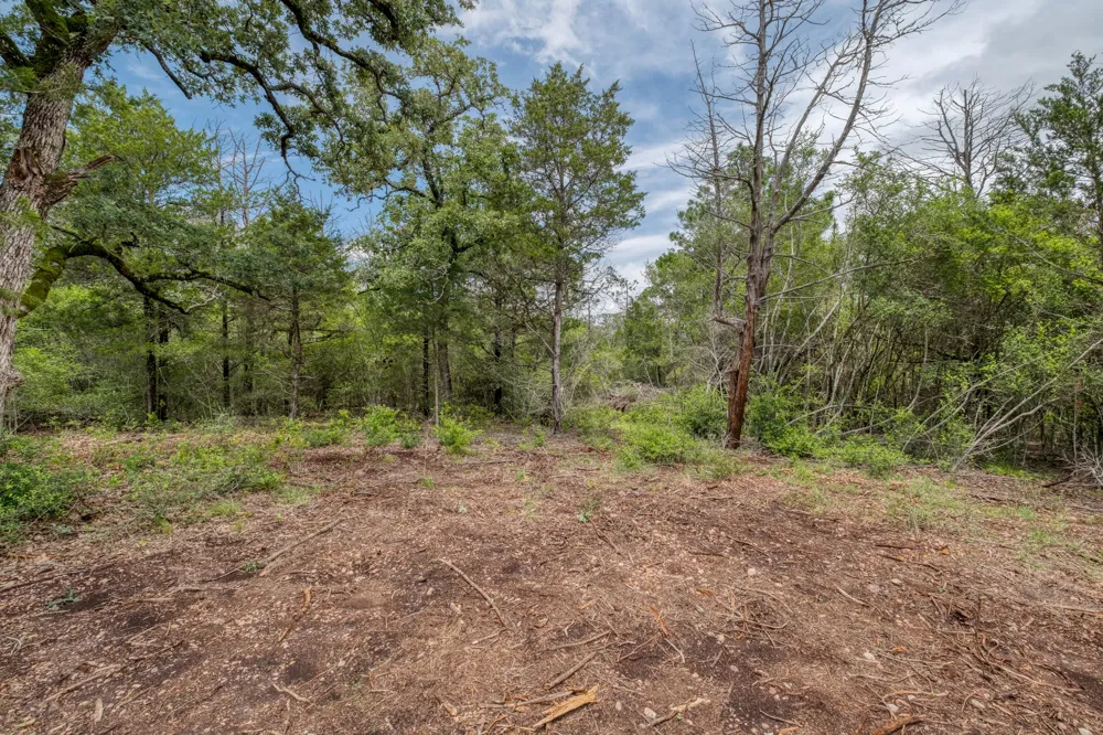 Pathfinders Way Smithville, TX 78957