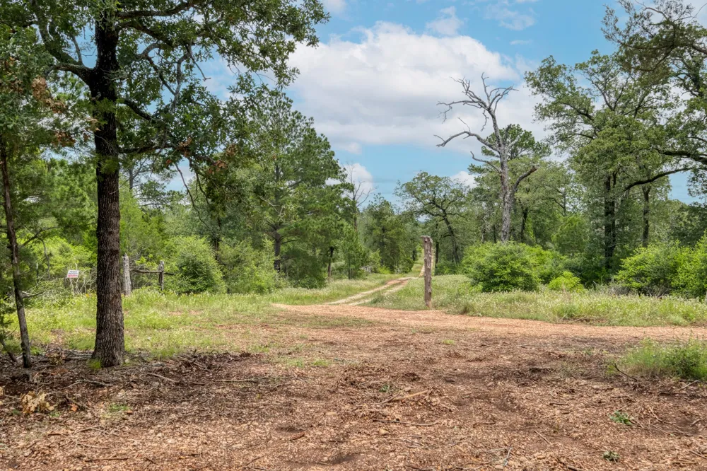 Pathfinders Way Smithville, TX 78957