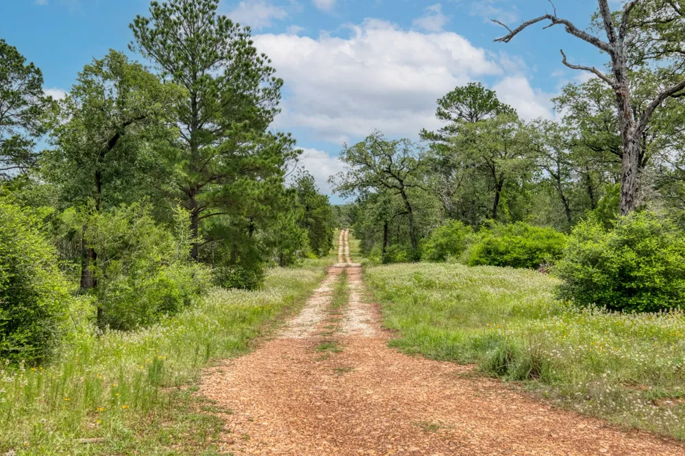 Pathfinders Way Smithville, TX 78957