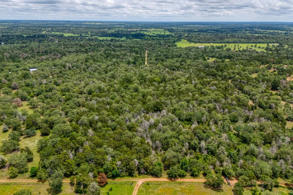 Pathfinders Way Smithville, TX 78957